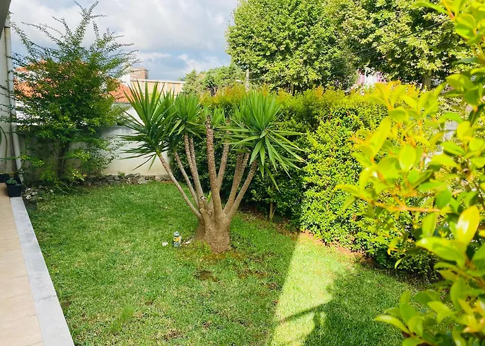 Essencyahomecoimbra