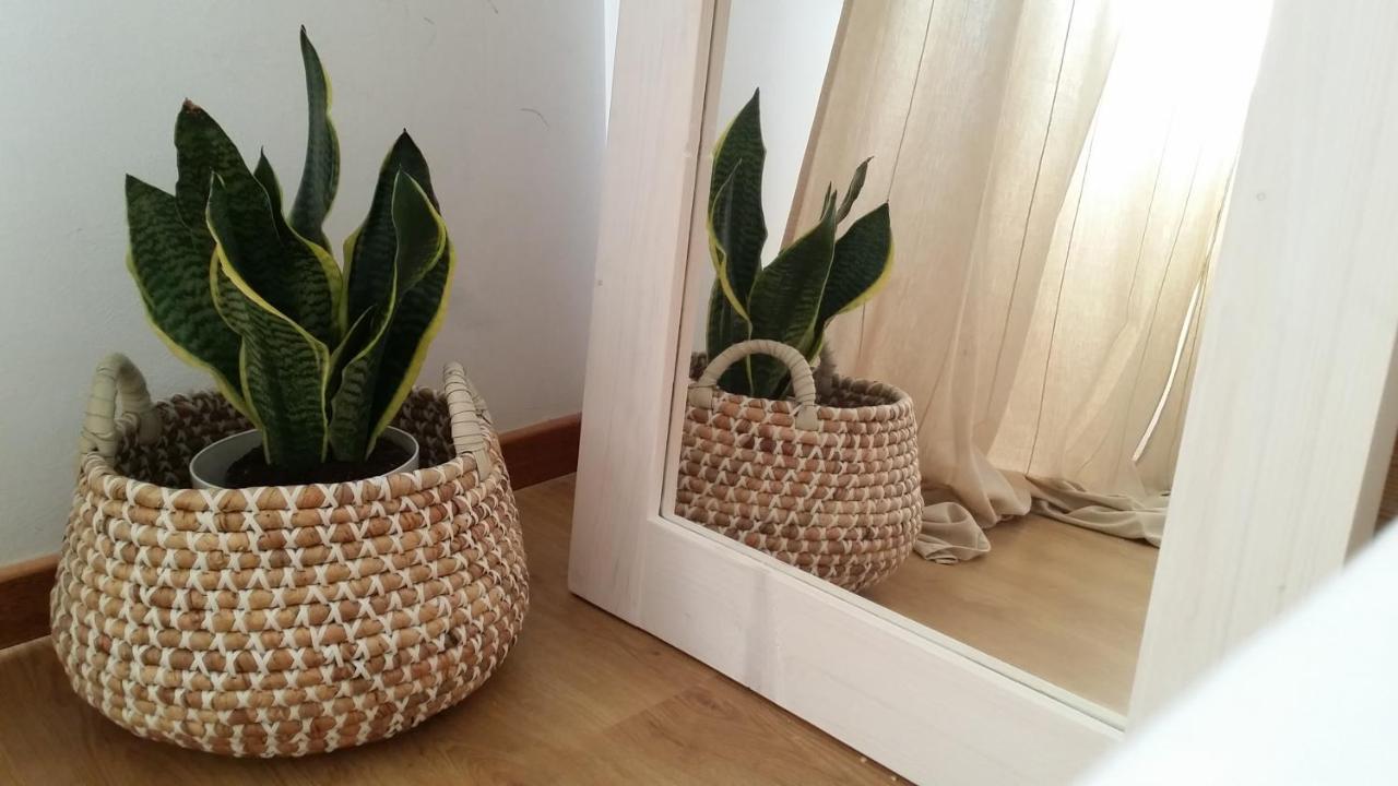Essencyahomecoimbra Appartement Coïmbre