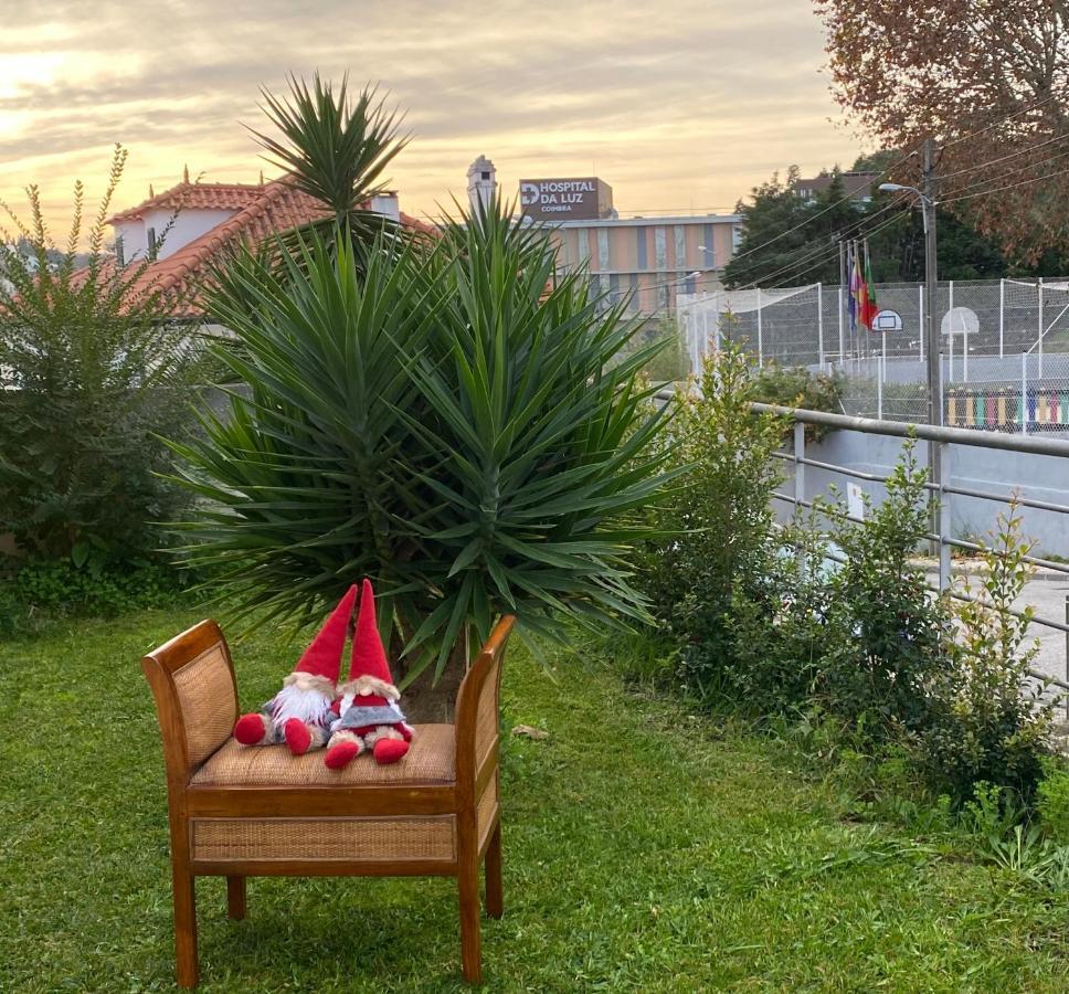 Essencyahomecoimbra Appartement