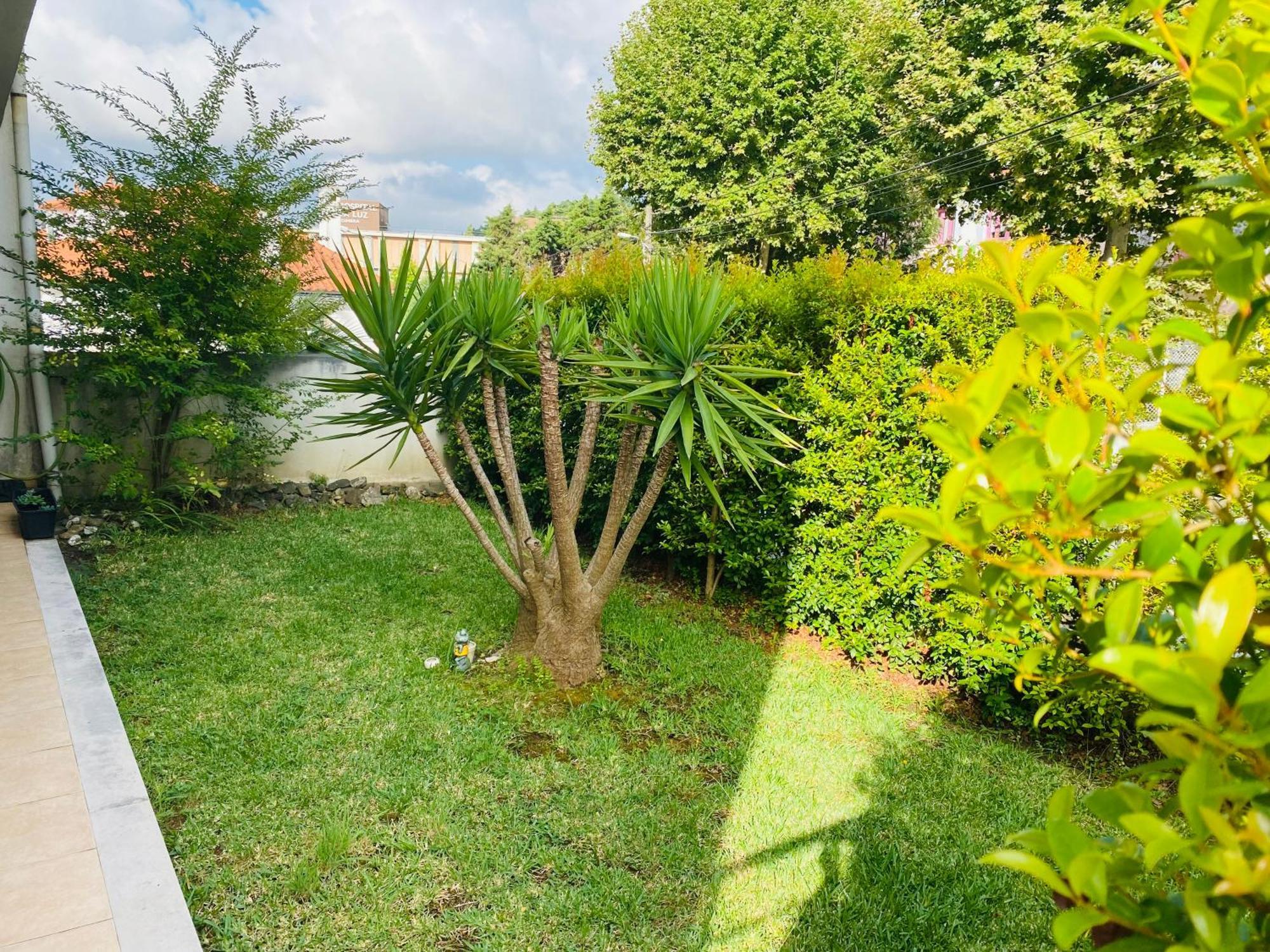 Essencyahomecoimbra Appartement Coïmbre